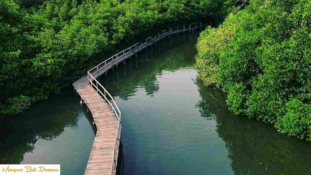Mangrove Bali Denpasar